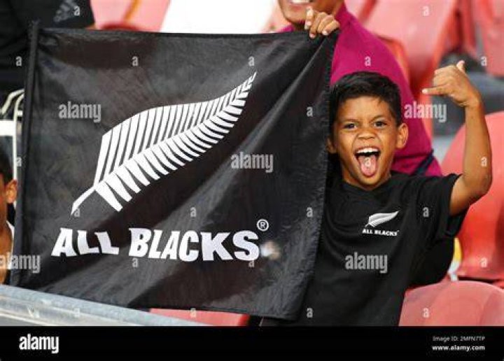 A young All Blacks fan at the Rugby World Cup semi-final against Argentina.