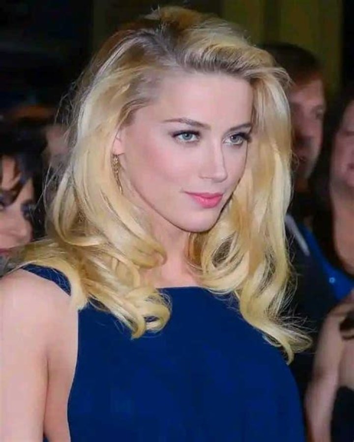 Amber Heard, Career, Relationship, Controversies, Net Worth