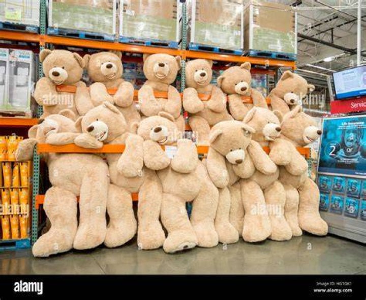 Costco bears.