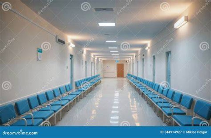 Rows of blue chairs lining a room with a mural covering the walls that depicts trees, forests and a lake.