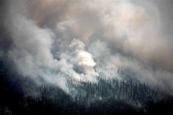 Siberian wildfires now bigger than all other fires in world combined